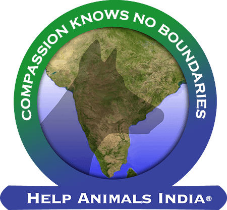 Help Animals India - Saving India's Forgotten Animals