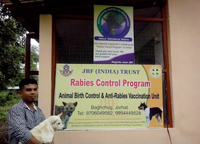 Saving India's Street Dogs – Help Animals India - Saving India's Forgotten  Animals