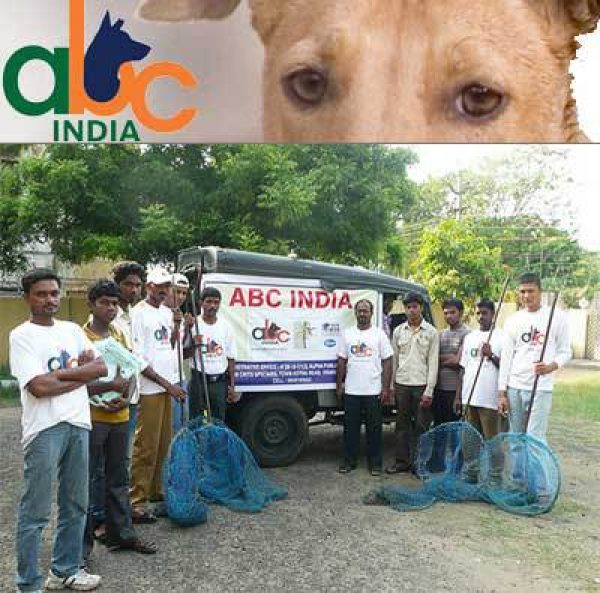 Groups We Help – Help Animals India - Saving India's Forgotten Animals